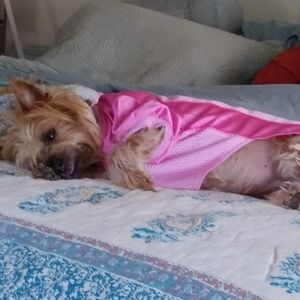 Meet your Posher, Jeanette